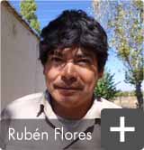Rubén Flores