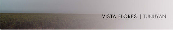 VISTA FLORES